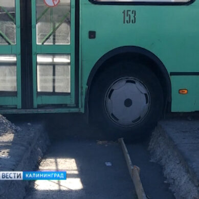 В Калининграде объединят автобусные маршруты №50 и №32