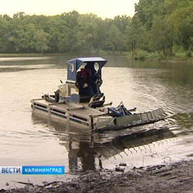 Озеро в Макс Ашманн-парке чистят машиной-амфибией