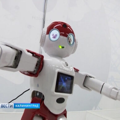 В Калининграде продолжает работу интерактивная выставка «Империя роботов»