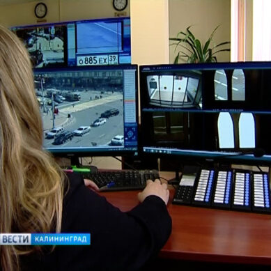 В Калининграде установят камеры видеонаблюдения, которые способны распознавать оружие под одеждой