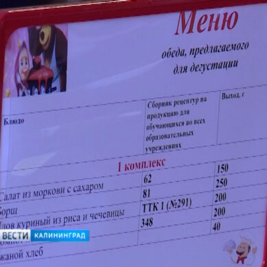 В Калининградских школах может появиться единое меню