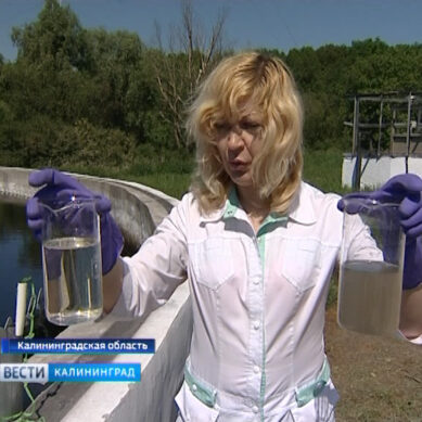В Светлогорске обсуждают современные технологии очистки сточных вод