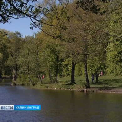 В эти минуты в специалисты Водоканала очищают озеро в Макс Ашман парке