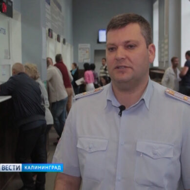 Калининградские полицейские рассказывают, как сэкономить при получении водительских прав