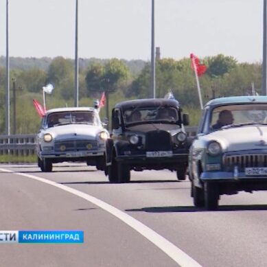 В Калининградской области стартовал автопробег по местам боевой славы