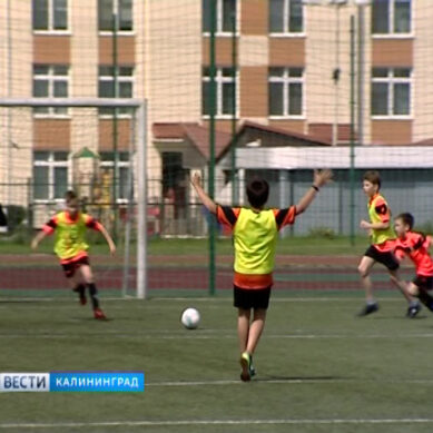 В 56-й школе Калининграда прошёл футбольный урок
