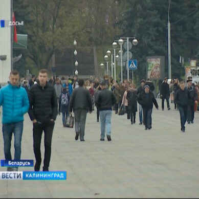 Белорусы хотят упростить переезд в их страну для россиян