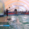 В Калининград приехал дельфинарий