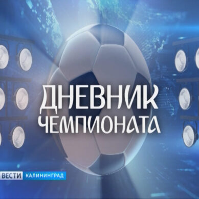 Калининградские «Вести» собрали самое интересное за четыре матча ЧМ-2018