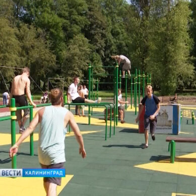В двух парках Калининграда открыли спортивные площадки