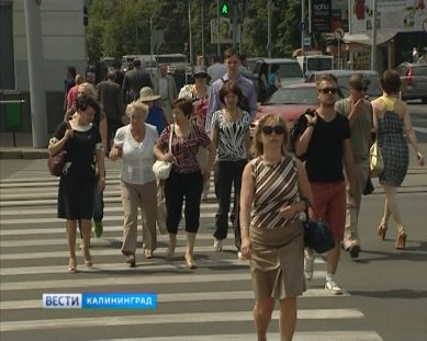 В Калининградской области зафиксирован рекордно низкий уровень безработицы за последние 20 лет
