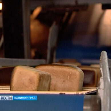 Роскачество проверило калининградский хлеб