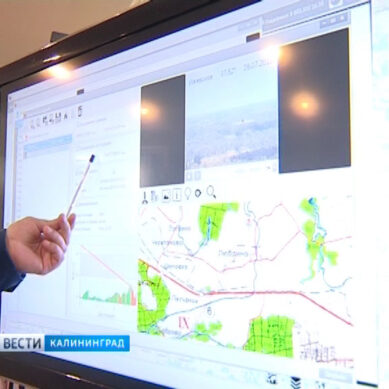 МЧС провели виртуальный рейд по лесам Калининградской области