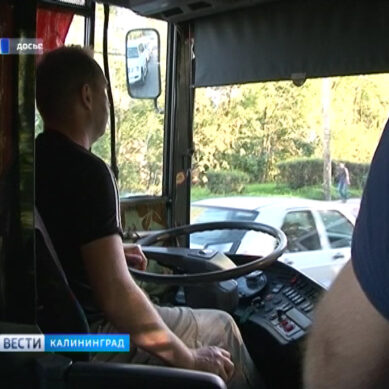На маршрут №107 Калининград-Балтийск назначат ещё 20 автобусов