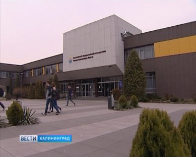 БФУ им. Канта планирует построить пять студенческих общежитий