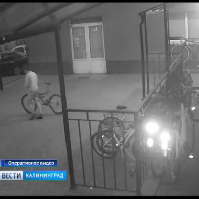 Велосипедные воры попали на запись с камер видеонаблюдения