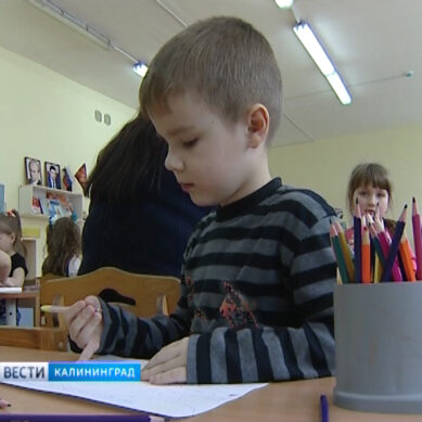 Власти Калининграда: Дефицит мест в детских садах возникает из-за миграции