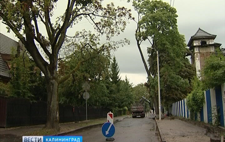 На пересечении улицы Пушкина и проспекта Победы установят новые дорожные знаки