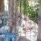 В Калининградском зоопарке животным теперь нужно добывать обед самостоятельно