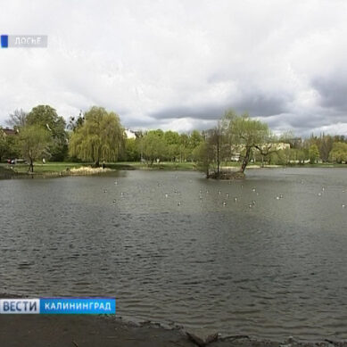 На обустройство Летнего озера в Калининграде выделят 59 млн рублей