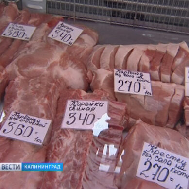 Подорожает ли свинина в Калининградской области из-за вспышки АЧС