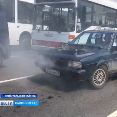 Из-за сильной жары на дорогах Калининграда начали «закипать» автомобили