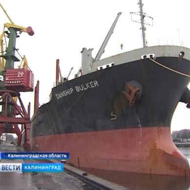 В Калининграде утвердили экспортную стратегию области до 2025 года