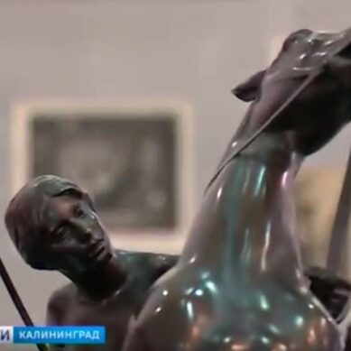 Музей изобразительных искусств переехал на Ленинский проспект