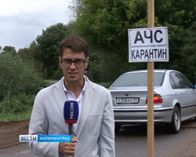На востоке Калининградской области новая вспышка АЧС