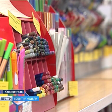 Ручки, тетрадки и цветы. Как собрать ребёнка в школу