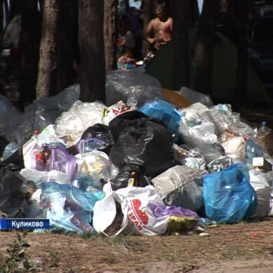Побережье посёлка Куликово завалено мусором