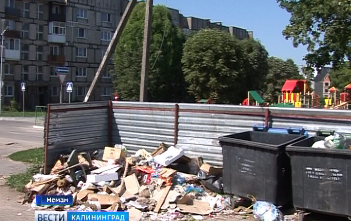 Калининградец сдал в переработку миллион килограммов мусора