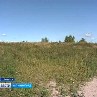 В Советске появилась зелёная поляна на месте свалки
