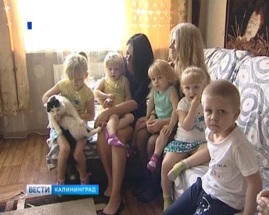 Калининградские многодетные семьи и ветераны получат льготу на оплату вывоза мусора