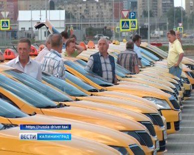 В Калининградской области хотят найти лучшего таксиста