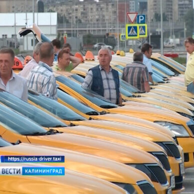В Калининградской области хотят найти лучшего таксиста