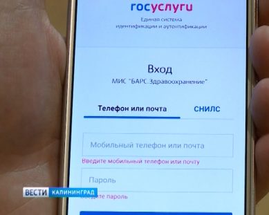 В Калининградской области заработало мобильное приложение «Мед Онлайн»