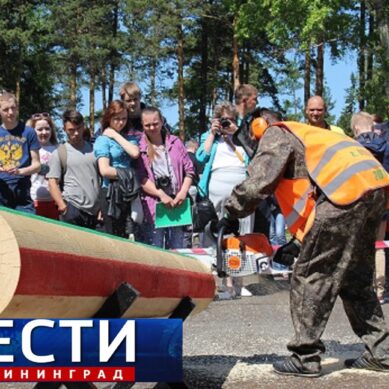 Лесорубы из Калининградской области поборются на Урале за самый большой призовой фонд чемпионата «Лесоруб 2018»