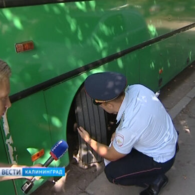 В Калининграде задержали автобус «факел»