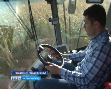 В Калининградской области построят новые хранилища для картофеля и около 7 гектаров теплиц