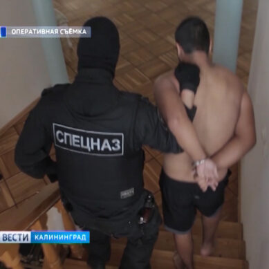 В Калининграде задержан подозреваемый в хранении наркотиков в особо крупном размере