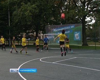 В Макс-Ашманн парке открылась новая спортивно-игровая площадка