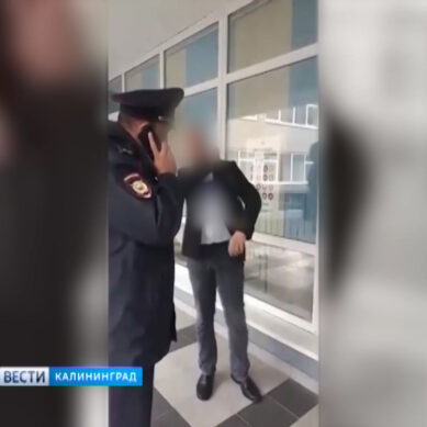 В Калининграде вынесли приговор наблюдателю, который ударил полицейского