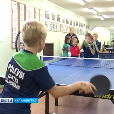 Спортсмены из Калининграда готовятся к всероссийским соревнованиям по настольному теннису