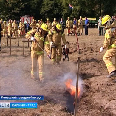 В Полесском районе прошли соревнования пожарных расчётов