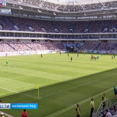Сегодня сборная России проведет тренировку на стадионе «Калининград»