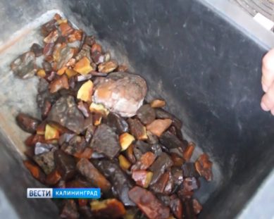 В Калининграде у водителя внедорожника случайно нашли янтарь