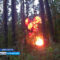В Калининграде осуждён местный житель с необычным взрывным хобби