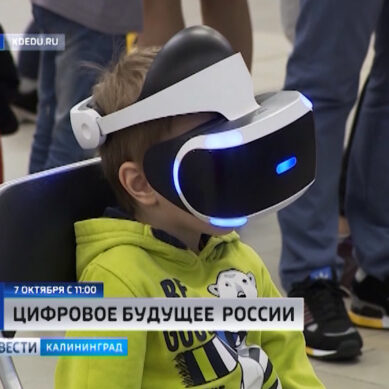 В калининградском дворце спорта «Юность» стартует фестиваль «Цифровое будущее России»