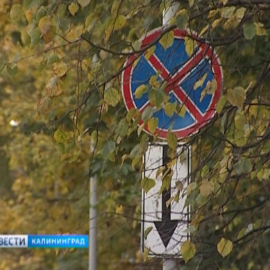 Сегодня на участках улиц Томской и Зоологической появятся знаки «Остановка запрещена»